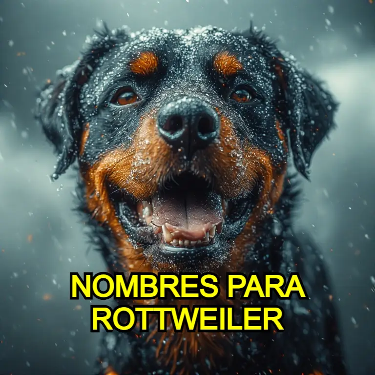 Nombres para Rottweiler