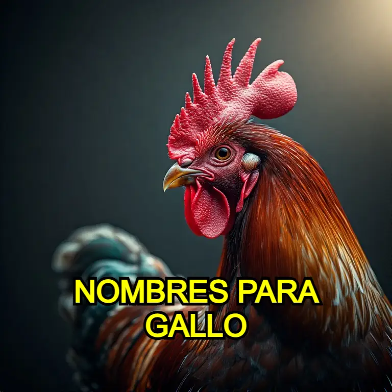 Nombres para gallo
