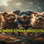Nombres para mascotas originales