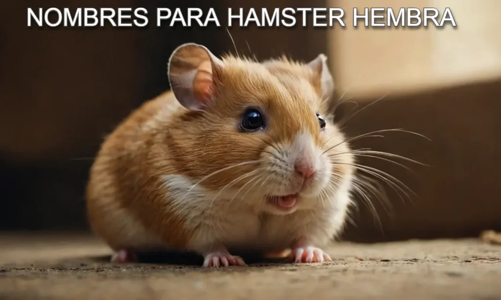 mejores nombres para hamster hembra
