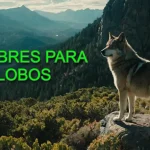 mejores nombres para un lobo