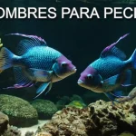 mejores nombres para peces