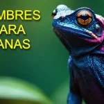 mejores nombres para ranas