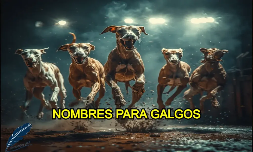 Nombres para galgos originales
