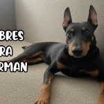 Nombres para doberman