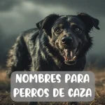 Nombres para perros de caza